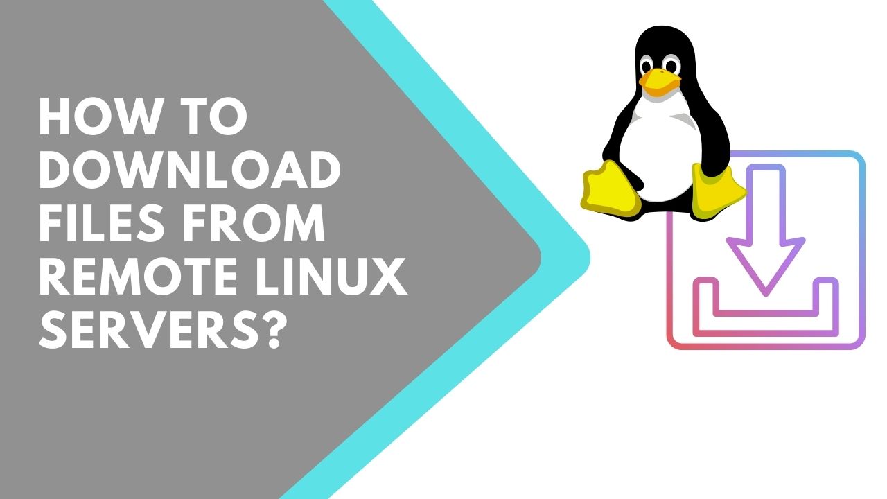 How to Download Files from Remote Linux Servers? - EURDP.com